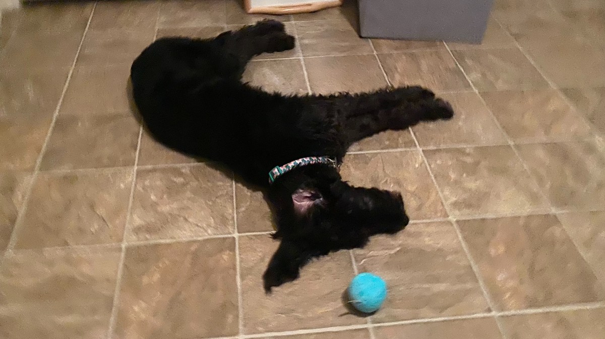 Mabel Listens to&nbsp;Me