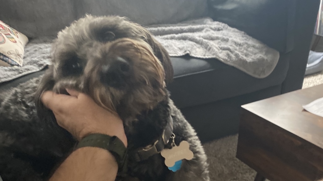 Looking Live at NFL Week 4,&nbsp;2025