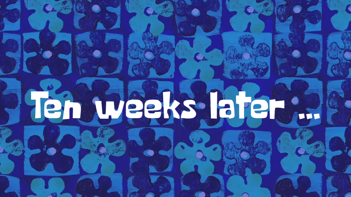 Looking Live at NFL Week 15,&nbsp;2025